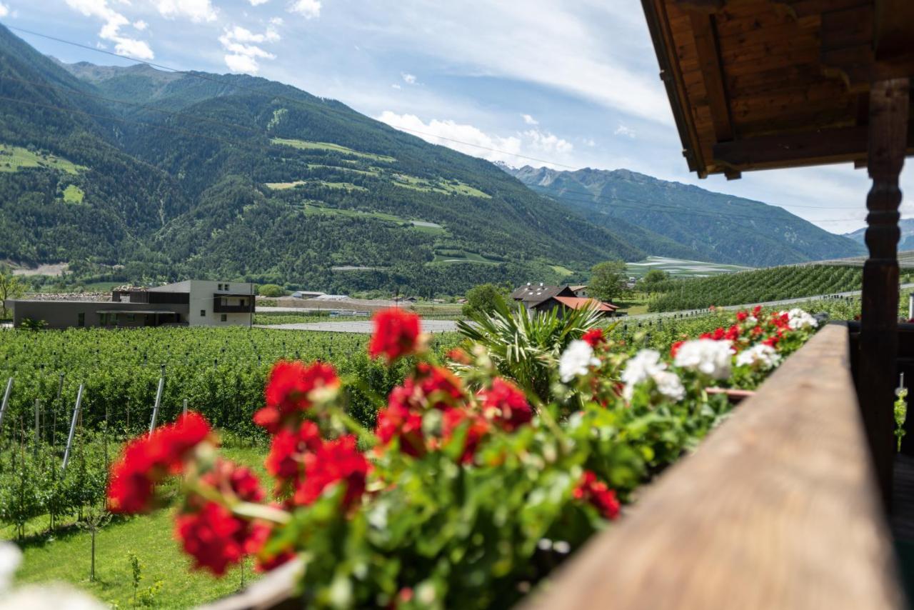 Апартаменты Pixnerhof - Urlaub Am Biohof Кастельбелло Экстерьер фото