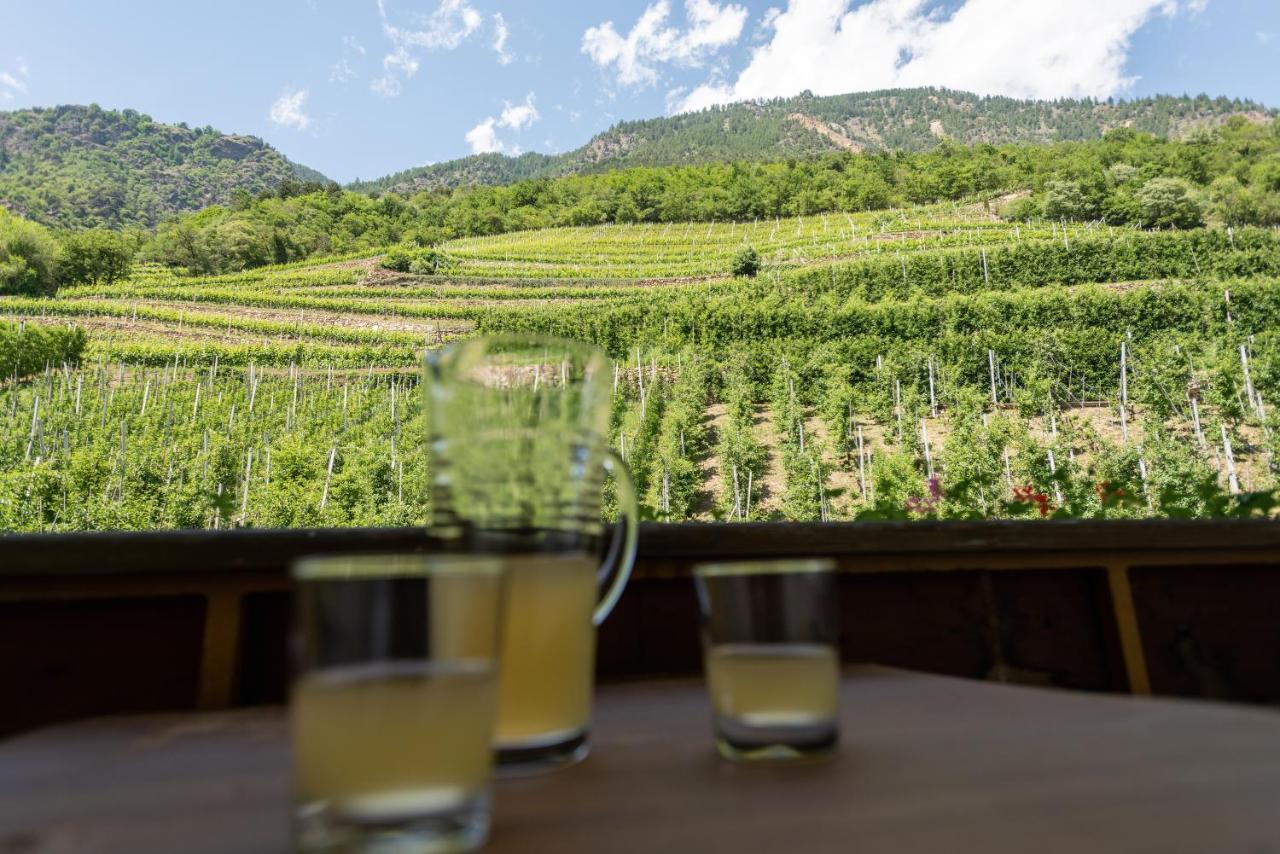 Апартаменты Pixnerhof - Urlaub Am Biohof Кастельбелло Экстерьер фото